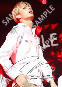 (Size 2L) - SEVENTEEN Shining Diamonds in Japan Photo (Jun)