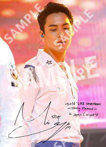 (Size 2L) - SEVENTEEN Shining Diamonds in Japan Photo (Mingyu)
