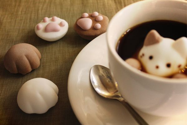 cat marshmallow