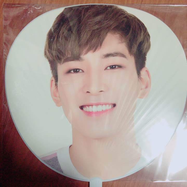 Large Member Fan - Wonwoo?217416