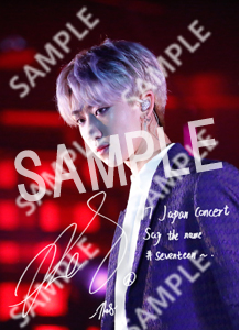 17 JAPAN CONCERT SEVENTEEN (THE8 - L)
