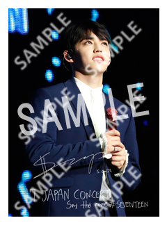 SVT__S.COUPS 2L SEVENTEEN
