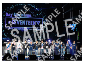 SVT__ collection 2 L SEVENTEEN