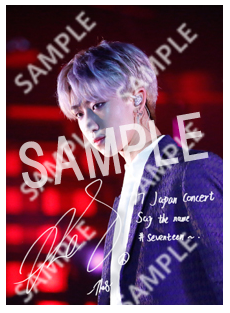 SVT__THE 8 2 L SEVENTEEN