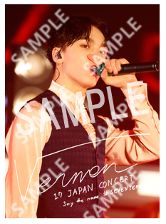 SVT__VERNON 2 L SEVENTEEN