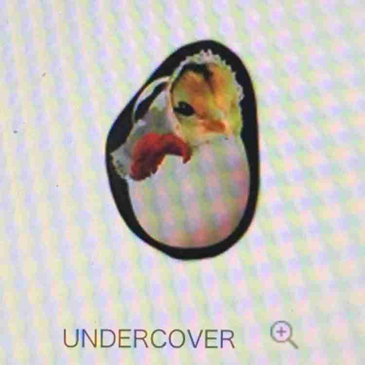 Undercover wallet