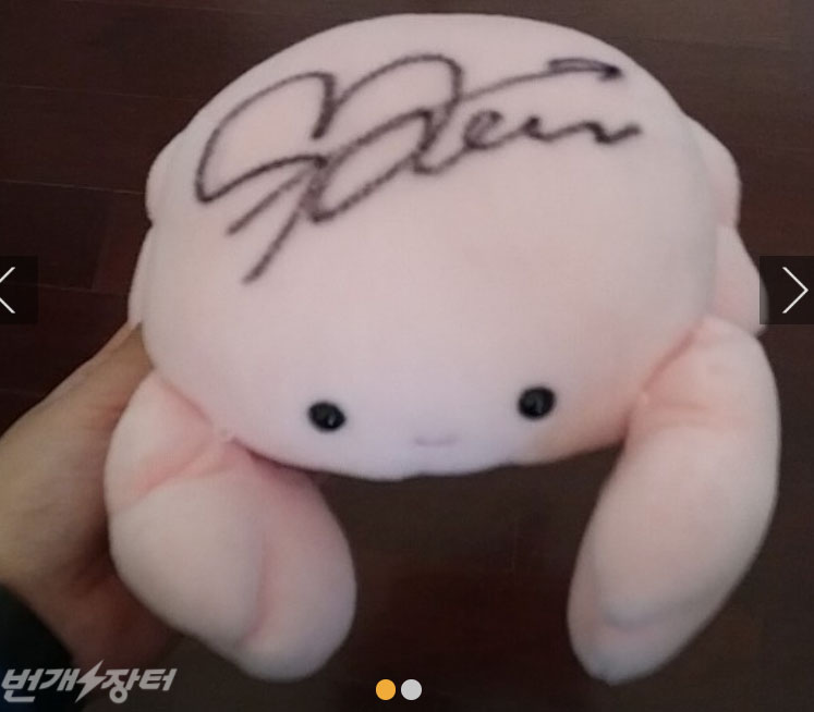 Twice Sana signed doll