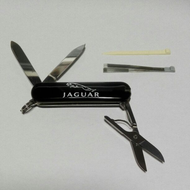 Jaguar