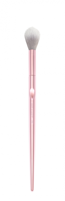 Pro Brush Line - Tapered Highlighting Brush
