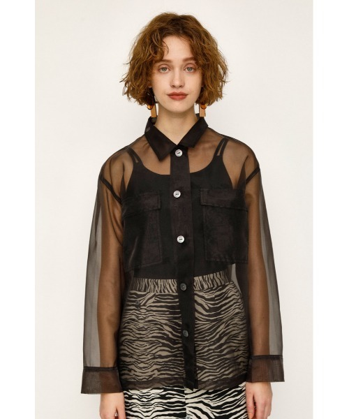 Sheer Shirt