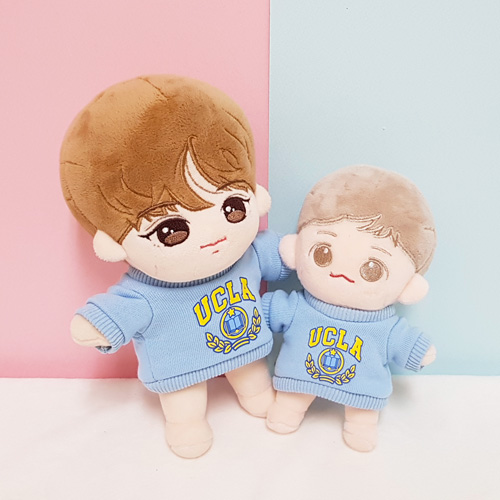 UCLA Sweater