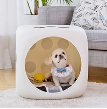 Dog dice house