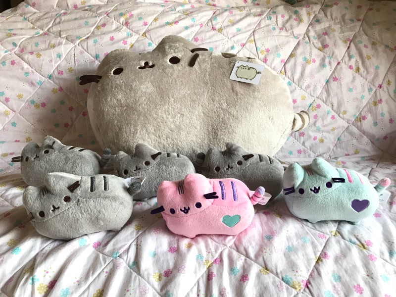 pusheen 4048864